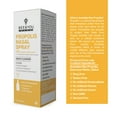 BEE and You Plus Propolis Nasal Spray 1 Fl oz Dry Nose, Sinus, Allergy Relief