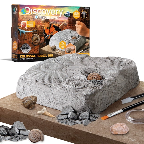Discovery #MINDBLOWN Colossal Fossil Dig Set Kit de excavación arqueológica de 15 piezas Descubra dientes de tiburón reales y más Cada juego de fósiles es un juguete STEM único para niños y niñas