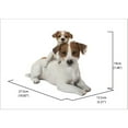 thumbnail image 2 of Hi-Line Gift Mother & Baby Jack Russell, White and Brown, 2 of 6