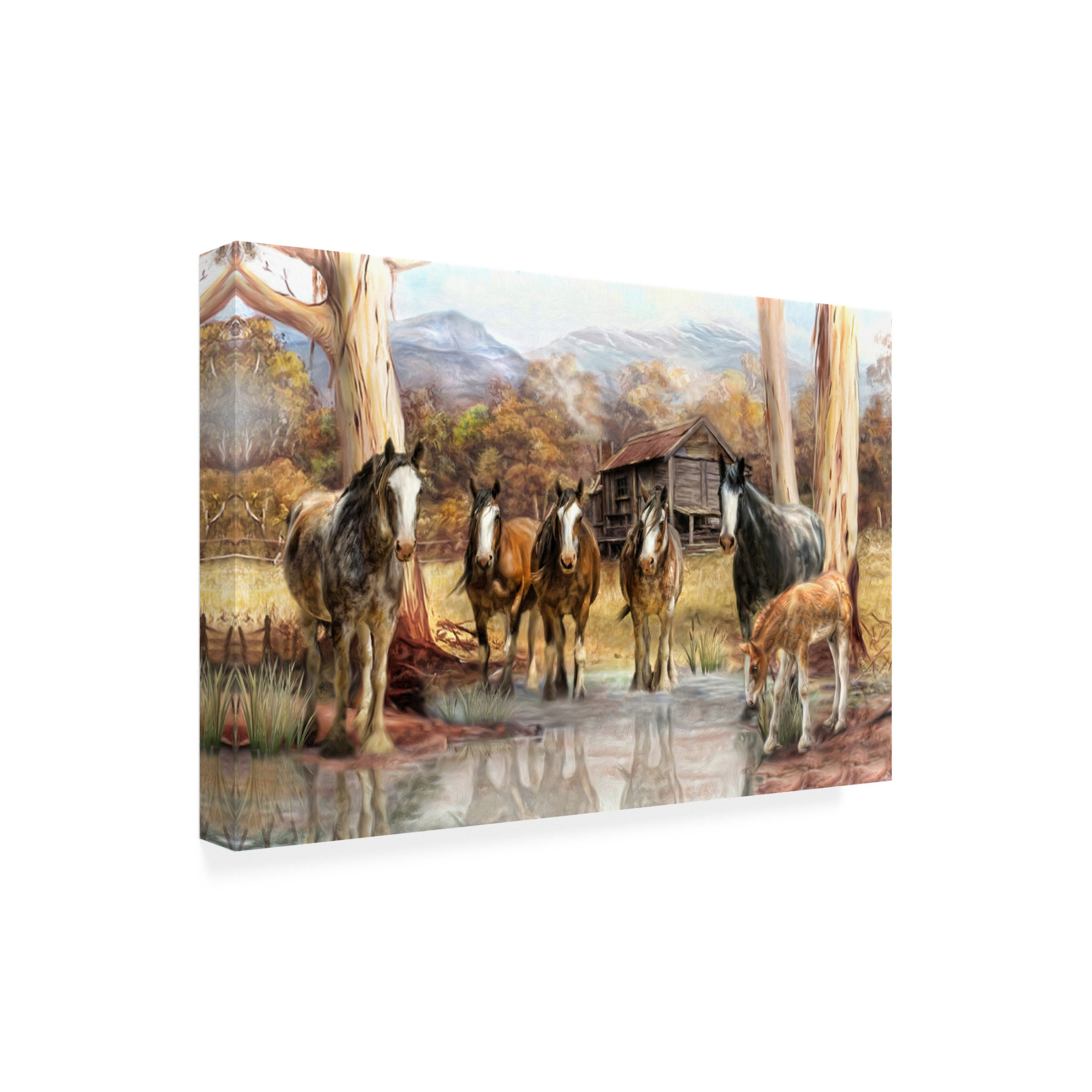 Canvas Wall Art - Trudi Simmonds 'High Country Hideaway' Wall Art for Living Room, Bedroom, or Office Décor by Trademark Fine Art - 24 x 16 Inches