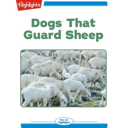 Dogs That Guard Sheep - Audiobook