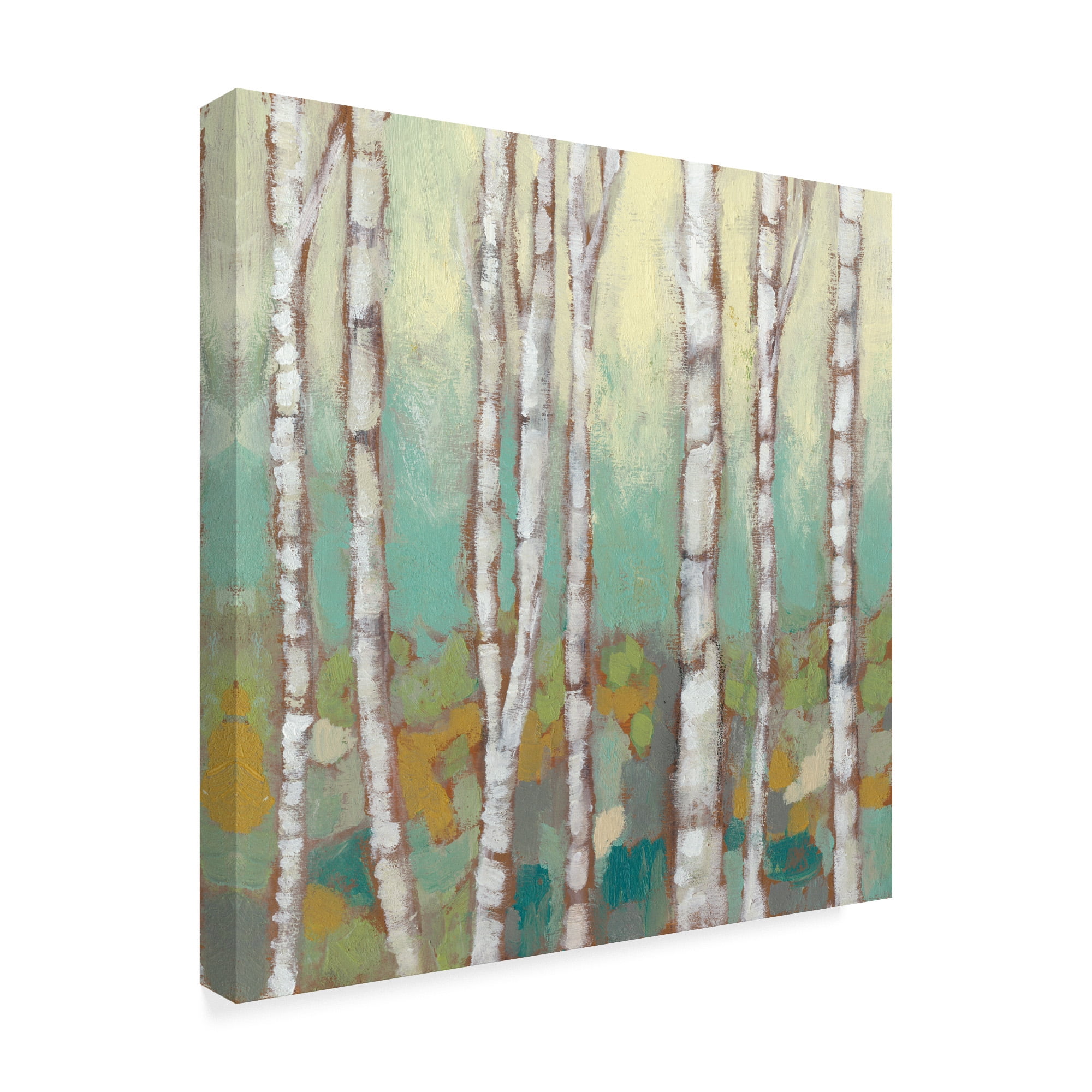 Trademark Fine Art 'Kaleidoscope Birches I' Canvas Art by Jennifer Goldberger
