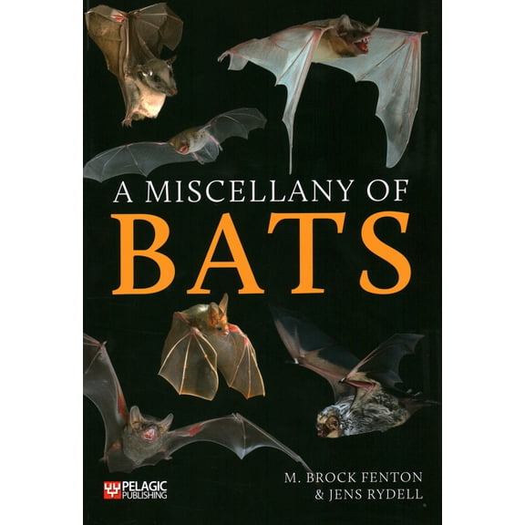 A Miscellany of Bats (Paperback)