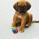 thumbnail image 4 of ColoMX Pelotas de tenis iluminadas para perros que brillan en la oscuridad, juguetes interactivos para perros, pelota elástica intermitente para saltar para perros pequeños, cachorros y gatos, 4 of 8