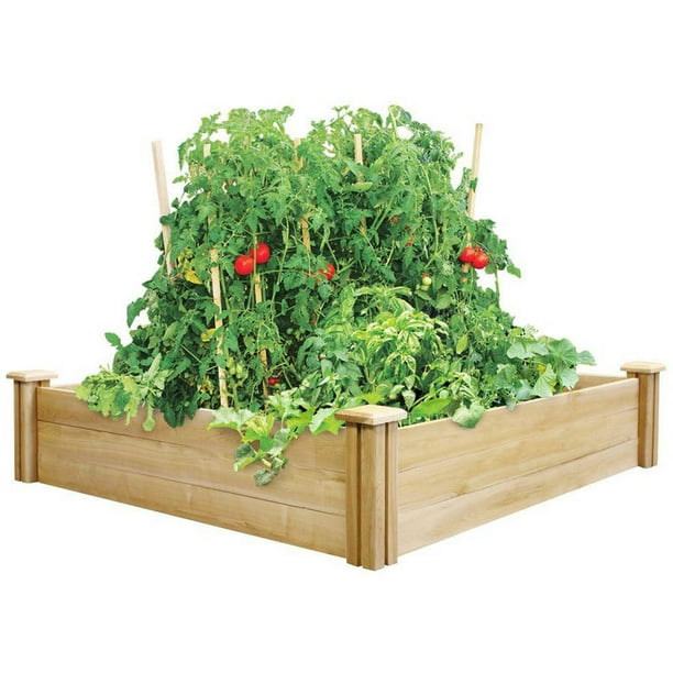 Greenes Fence Cedar Raised Garden Bed, Multiple Sizes - Walmart.com