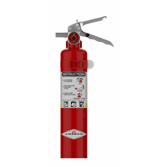 Amerex B417T ABC Dry Chemical Fire Extinguisher -2.5 lbs.