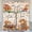 1, variant on 3 Pcs Fall Pumpkin Kitchen Curtains Valances and Tiers Set for Windows Pumpkins Maple Leaf Gnomes Thanksgiving Decor Short Curtain Set for Bedroom Window Treatment Decor Party Favor Supplies