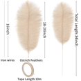 thumbnail image 3 of Kit de plumas de avestruz Soarer, color champán, 86 cm, 10 unidades, 3 of 6