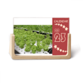thumbnail image 1 of Waterless Cultivated Vegetables Desk Calendar Desktop Decoration 2023, 1 of 3