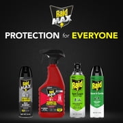 Raid MAX Indoor & Outdoor Spider & Scorpion Killer Bug Spray, 12 oz