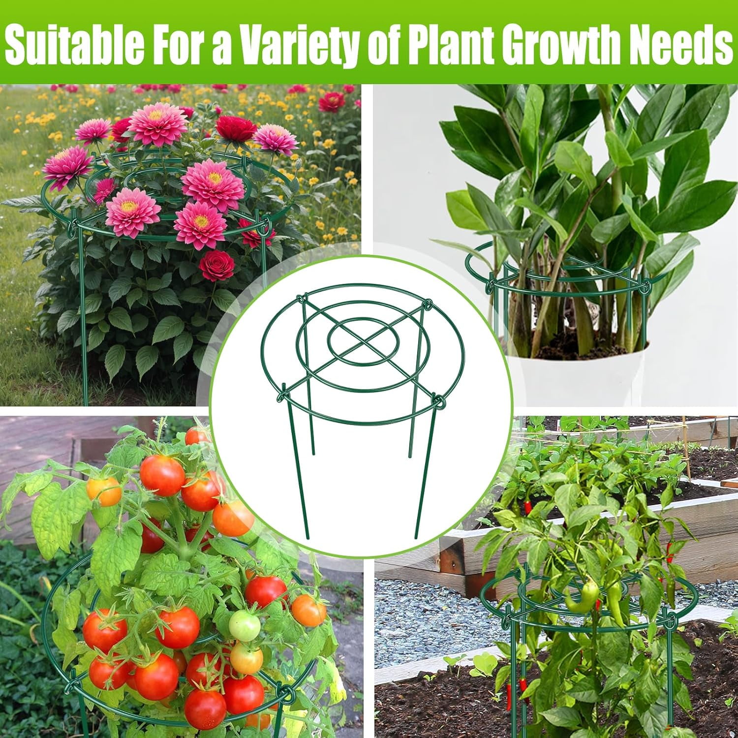 8 Pack Peony Cages and Supports – 11.5" Dia x 16" H Heavy Duty Metal Flower Support Rings for Outdoor Plants, Rose, Tomato, Hydrangea, Strawberry