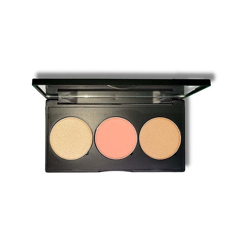 Pro Cheek Palette light-medium