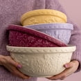 thumbnail image 4 of Mason Cash In The Meadow Earthenware Mixing Bowl with Floral Embossments (1 Piece), 4 of 5