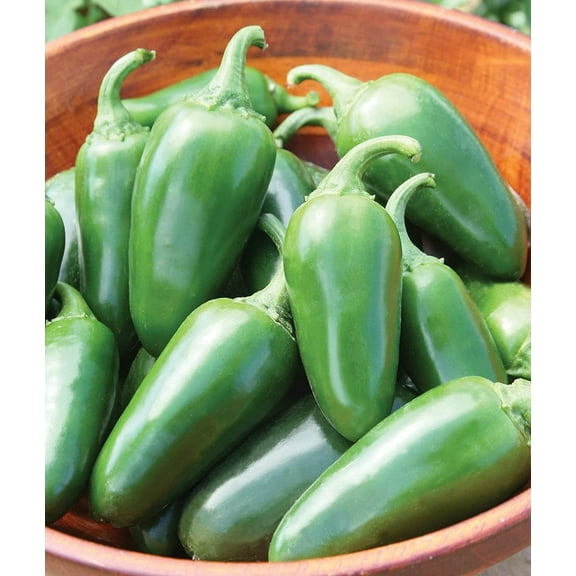 Jalapeno Pepper Seeds to Plant - 100  Seeds - Versatile Pepper for Eating and Seasoning. Made in USA. Ships from Iowa