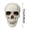 (A90 C 6.7"), variant on Small Skulls Halloween Decor, 4.1" Plastic Fake Skeletons Movable Jaw, Mini Skulls For Crafts Outdoor Halloween Decorations, Realistic Miniature Human Skull Heads Home Decor