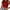 Red, variant on WHLBF Women's Plus Size Tanks Clearance Casual Sleeveless Solid Blouse Crop Vest