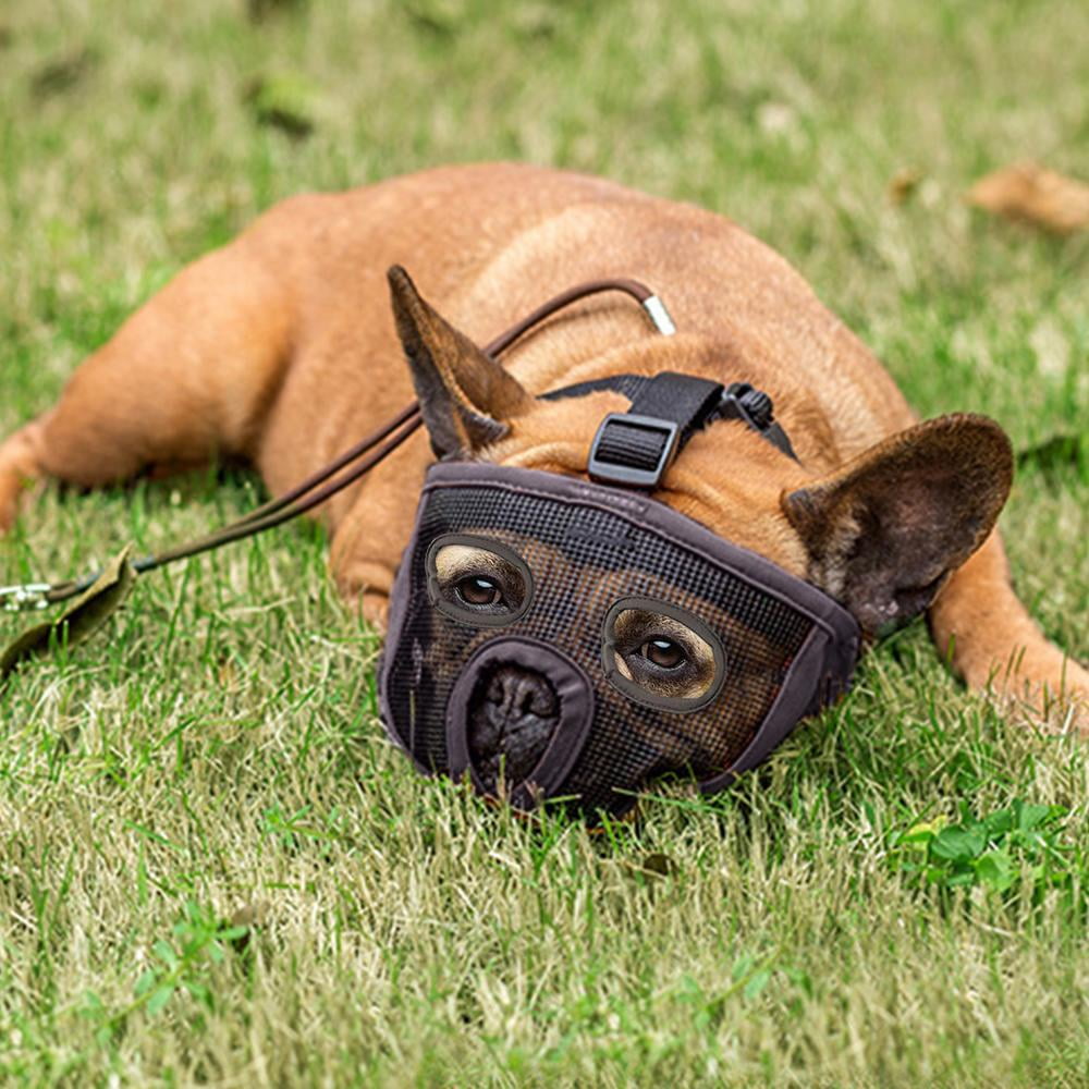 Shortnosed dog muzzleadjustable and breathable mesh bulldog muzzle