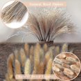 thumbnail image 1 of Conjunto de 41 flores secas naturales, marrón, hierba de pampa blanca Fluffy Wedd, Lagurus y ramo de flores secas de caña para flores XianweiShao 9024715305688, 1 of 1