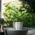 thumbnail image 3 of Ordivic 6 inch Silver Textured Ceramic Planter with Saucer, Indoor Plant Pot with Drainage Hole for Snake Plant, Succulents & Pothos, 3 of 6