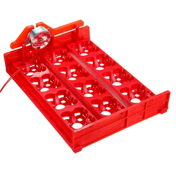 adviicd 110V Eggs Chicken Turning Birds Eggs Automatic For Quail Hatching Small Appliances