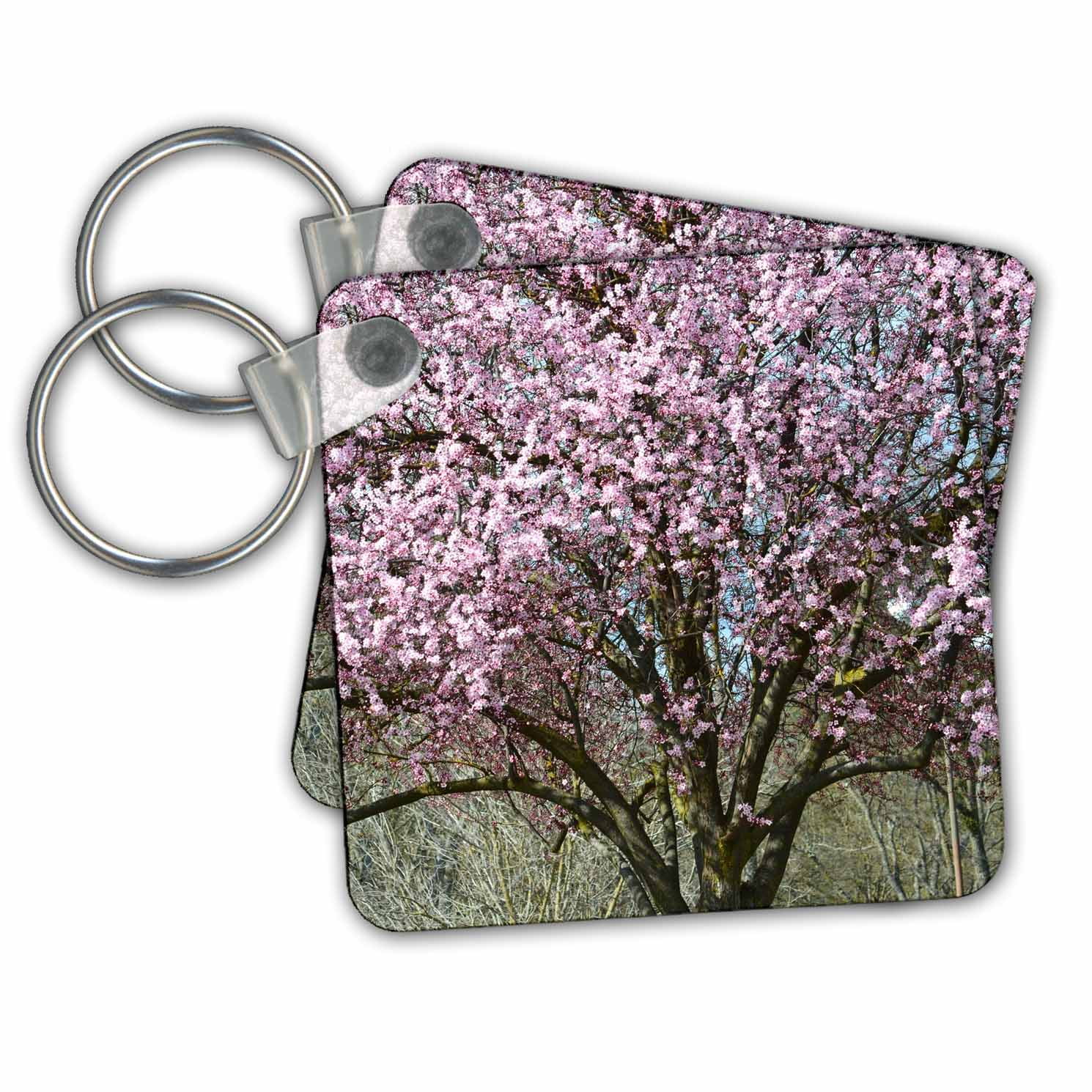 Pink Tree Key