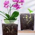 thumbnail image 4 of Clear Breathable Plant Container Desktop Ornament Planter Plant Pot Craft, 4 of 11