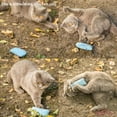 thumbnail image 6 of Pretty Kitty Catnip Toys for Cats | 6-Piece Cat Pillow Set with Catnip | Fluffy Pillow Cat Toy | Kitten Toys and Cat Accessories, 6 of 7