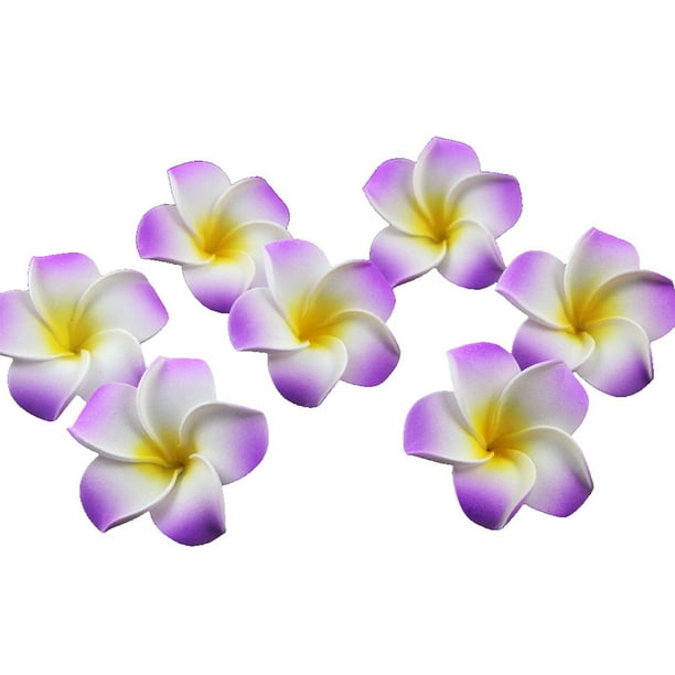 Purple Hawaiian Flowers | Best Flower Site
