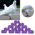 thumbnail image 4 of Bird Clip Ring, Birds Foot Rings Small Size And Lightweight  For  Purple, 4 of 8