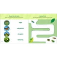 thumbnail image 5 of The Backyard Bug Book for Kids: Storybook, Insect Facts, and Activities (Spiral Bound), 5 of 7