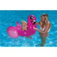 thumbnail image 1 of Flamingo Baby Rider, 1 of 1