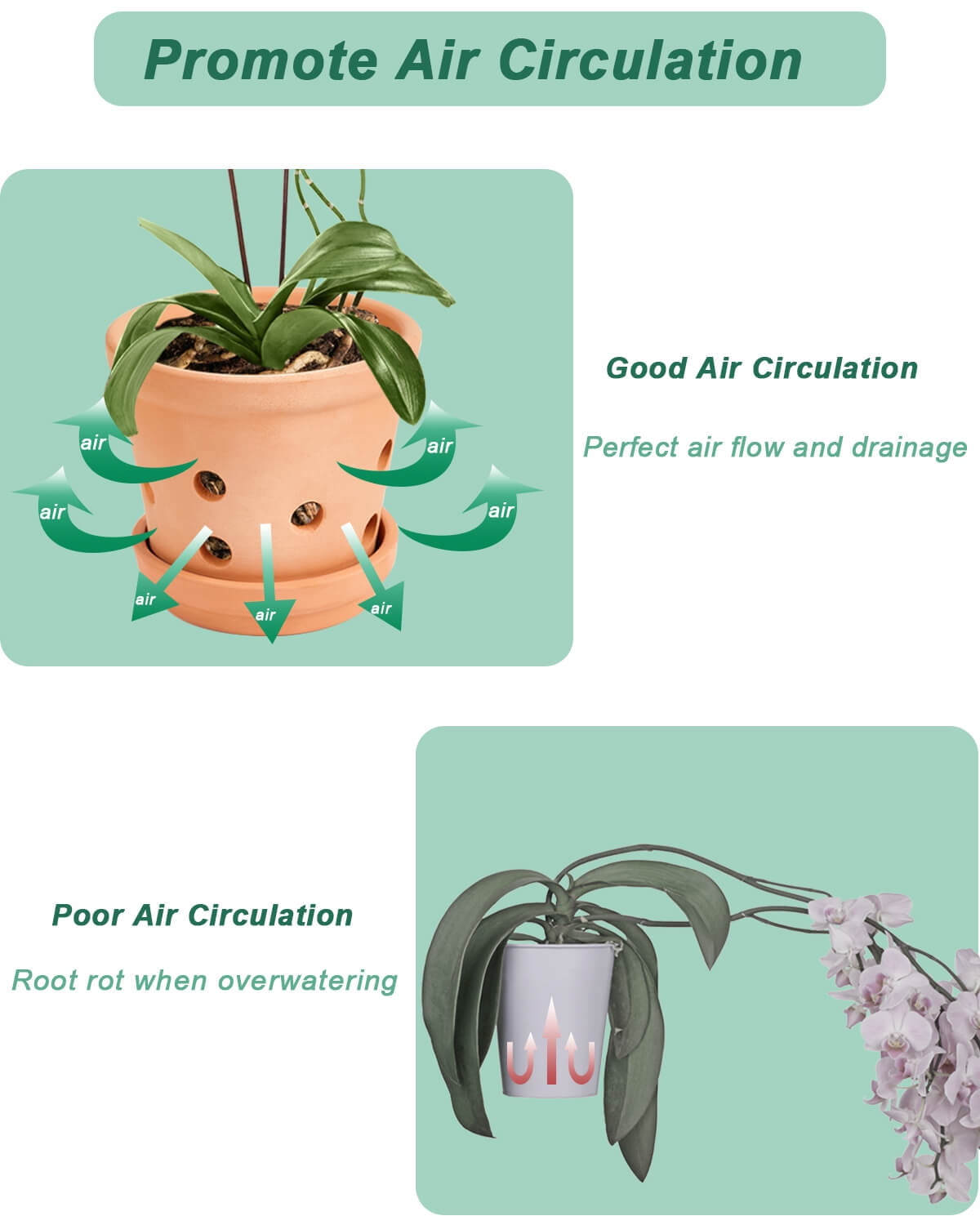 6 Inch Terracotta Orchid Pots with Holes and Saucers - 3 Pcs Small Clay Orchid Planter Pots for Repotting, Plant Flower Pots for Orchid Indoor and Outdoor Promotes Air Circulation