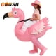 thumbnail image 2 of Disfraz inflable de Firebird para niños y adultos, traje divertido de animé para carnaval, Halloween, fiesta de navidad, 2 of 4