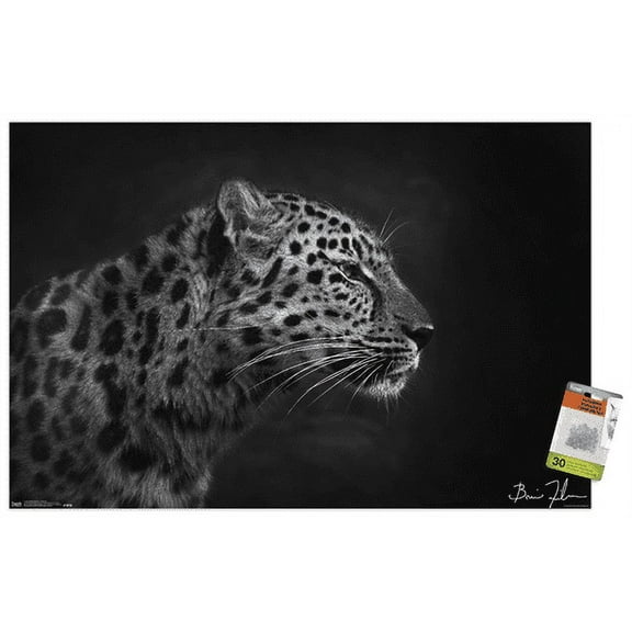 5FishCreative - Leopard Portrait Wall Poster with Push Pins, 22.375" x 34"
