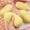Yellow, variant on 2026 New Stress Balls - Peanut Squishies Toys, Dazzler Sensory Tool, Egg-Shaped Tactile Fidget for Stree Relife Focus (Yellow, 1pc)