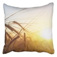 thumbnail image 1 of RYLABLUE Beautiful Nature Sunset Landscape Golden Rural Under Sunlight Summer Pillowcase Cover Cushion 18x18 inch, 1 of 1