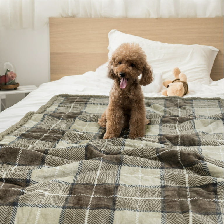 Xl dog online blanket