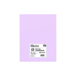 Cardstock Warehouse Pop Tone Grapesicle Light Purple - 12 X 12 Inch 100 Lb.  / 270 Gsm Matte Premium Cardstock Paper - 25 Sheets