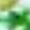 Green, variant on Crew Neck T Shirts for Women Floral Short Sleeve Casual Tops Going Out Loose Pullover Shirts