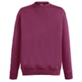 thumbnail image 2 of Fruit Of The Loom Mens Lightweight Set-In Sweatshirt, 2 of 2