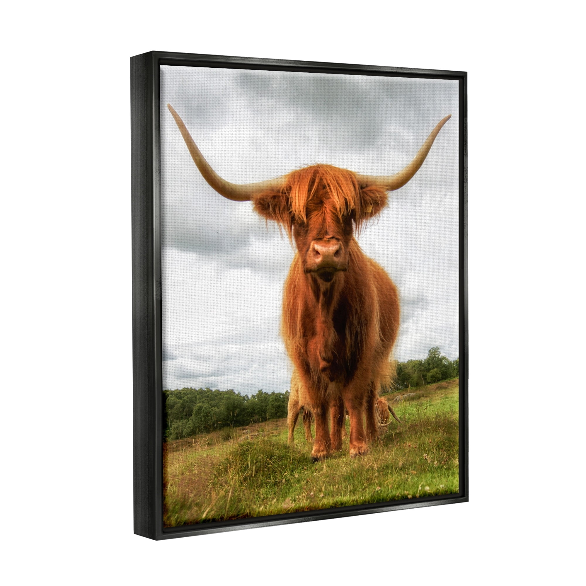 Stupell Industries Highland Cattle Long Horns Grazing Farm Ranch Photograph Metallic Gold Floating Framed Canvas Print Wall Art, Design by James Dobson