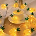 thumbnail image 1 of Lámpara de cadena de piña de malla de hierro tu un 3 m 20 LED con batería, 1 of 5