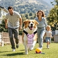thumbnail image 4 of Cooling Vest Dog, Lightweight Heat Relief Wear, Summer Dog Harness Vest, Temperature Control Pet Gear, Breathable Cooling Jacket, for Outdoor Walking Travel Park Camping Hot Weather Use 19.5x15x1cm, 4 of 5