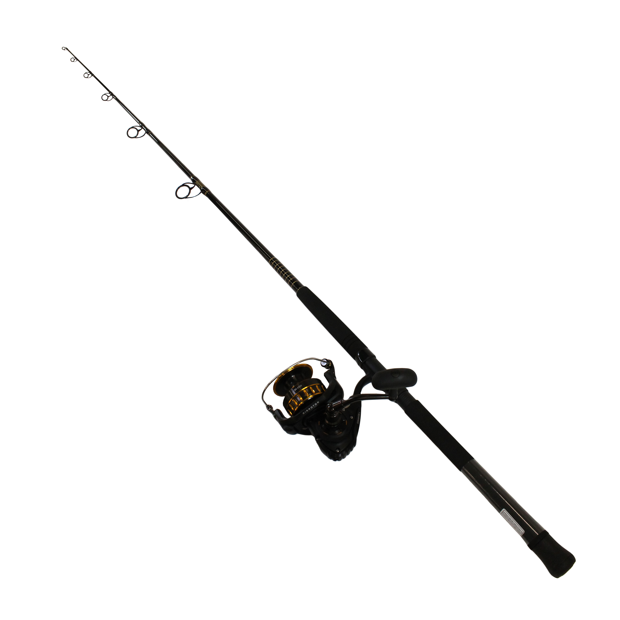 daiwa saltwater combo