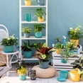 thumbnail image 4 of Bobasndm 1 Pack Planter Pots with Tray, Modern Indoor Outdoor Plastic Planter Pots for Small Plants Succulent Nursery Orchid Home Office Decor Gardening, 4 of 9