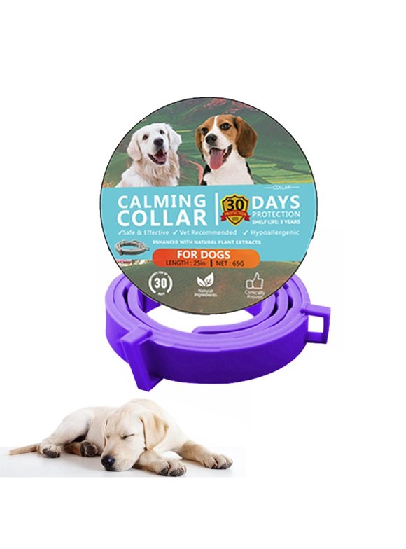 Dog Anxiety and Calming in Dog Health and Wellness