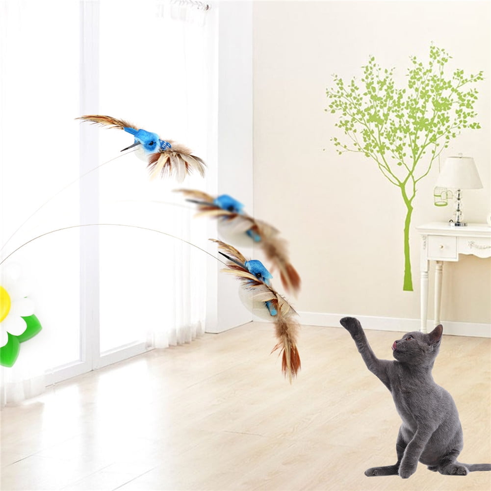 hummingbird cat toy