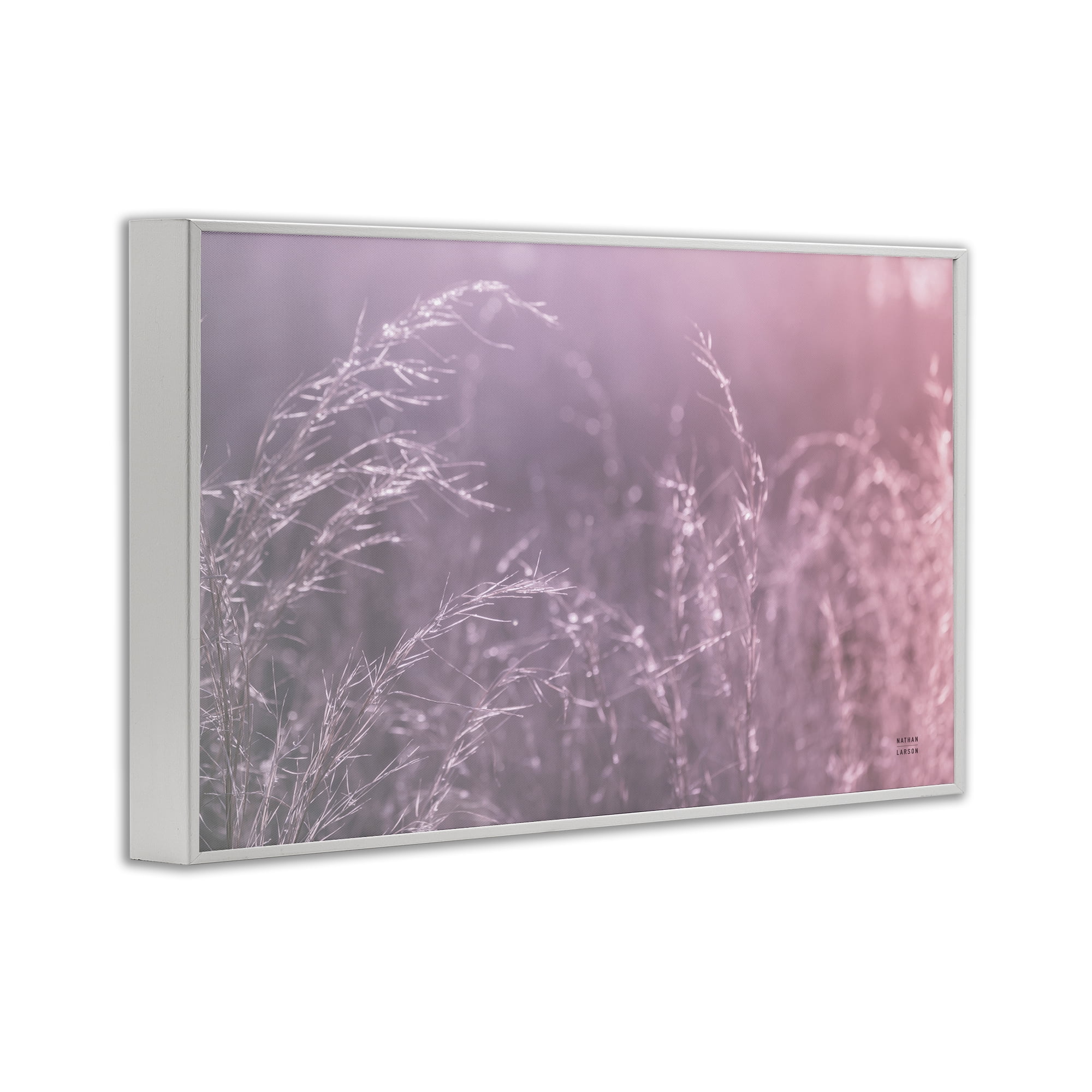Stupell Industries Pink Meadow at Dawn White Framed Giclee Art, design by Nathan Larson