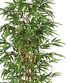 thumbnail image 2 of Arbre en Soie de 75 Po de Bambou, 2 of 5