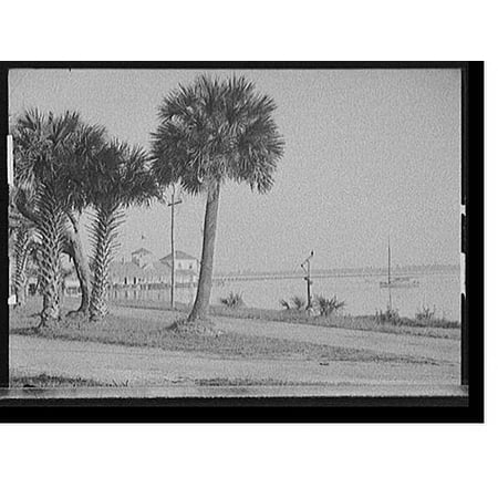 Historic Print, [Halifax River Yacht Club and palms, Daytona Beach, Florida], 16" x 20"